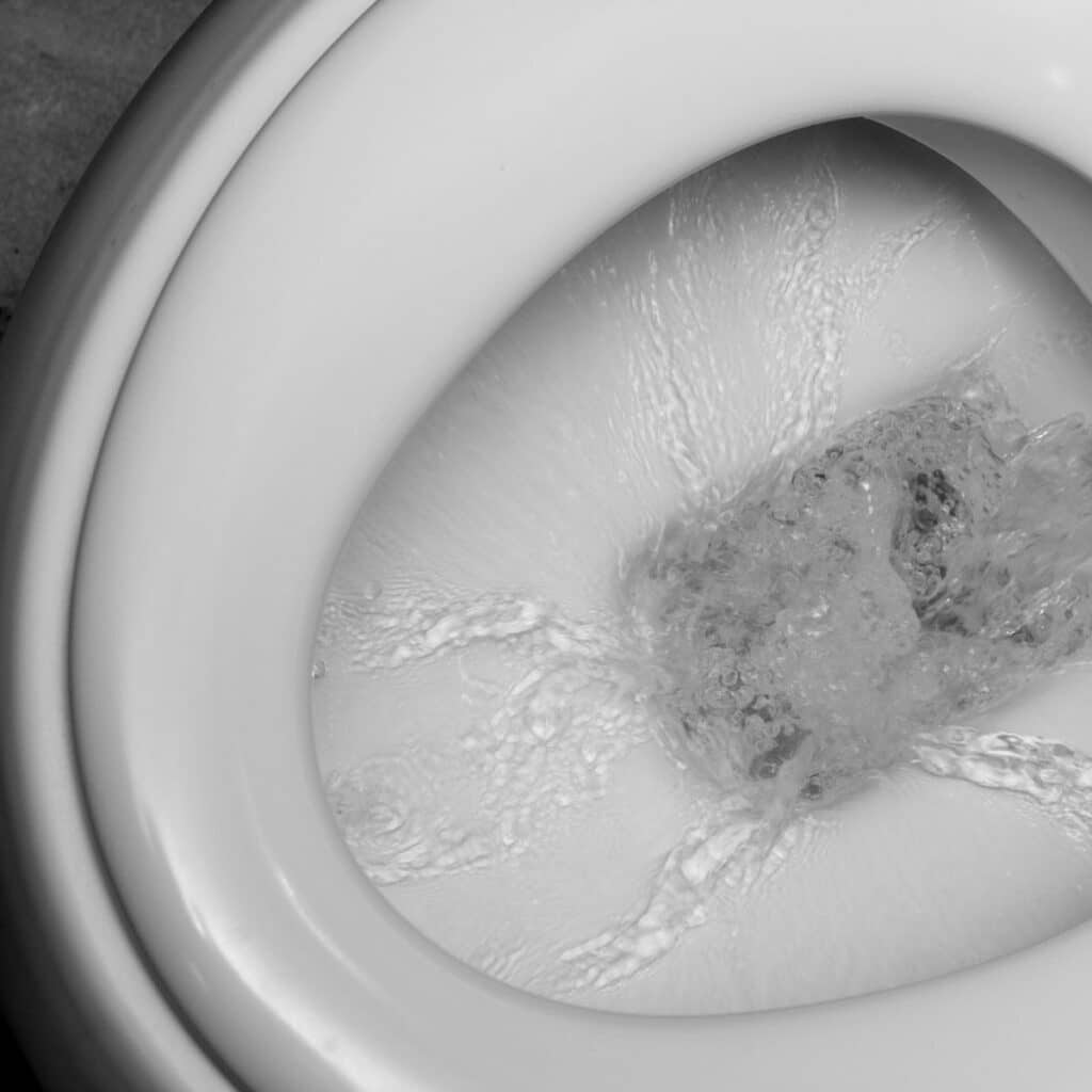 bubbles forming in a bidet being flushed